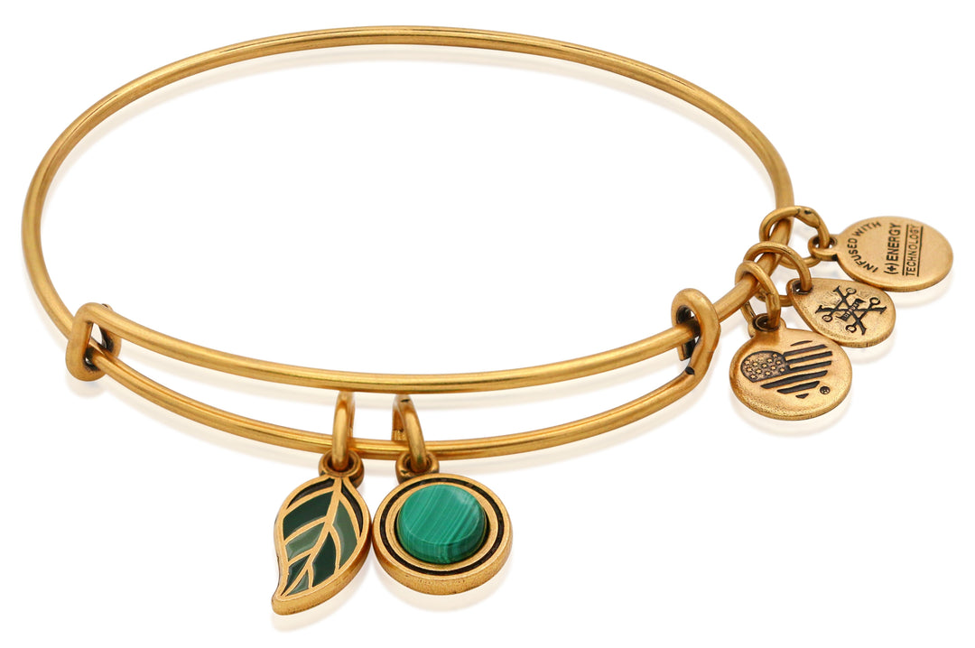 Buy ALEX AND ANI Grounded Bracelet at Kay's Fine Jewelry