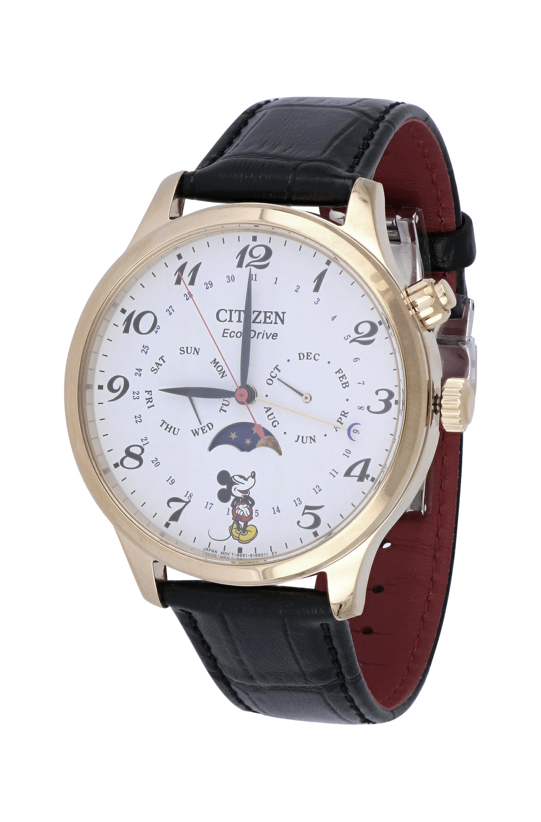 CITIZEN Men's Watch (Eco Drive 50m)