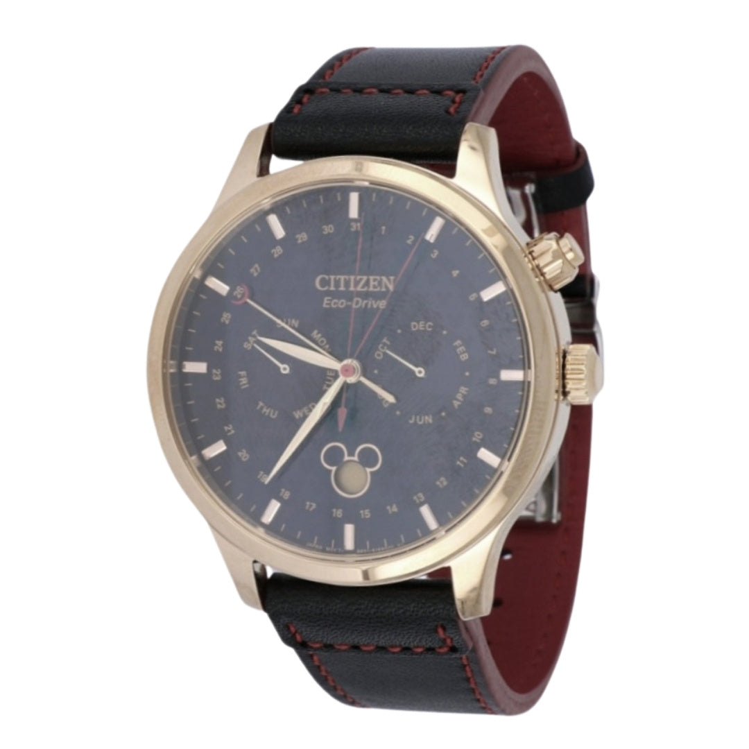 CITIZEN Men's Watch (Eco Drive 50m)