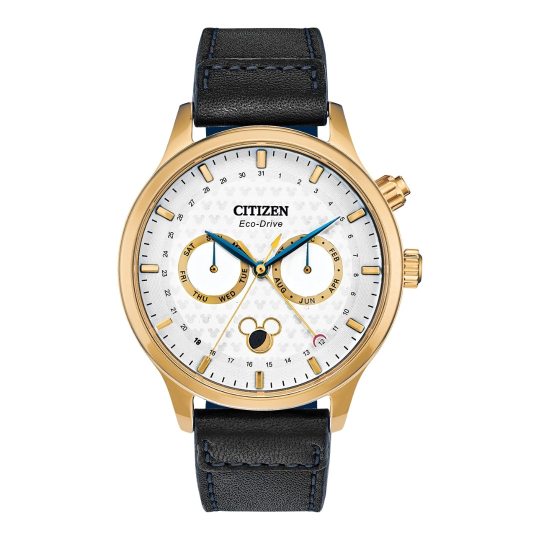 CITIZEN Watch Eco Drive 50m