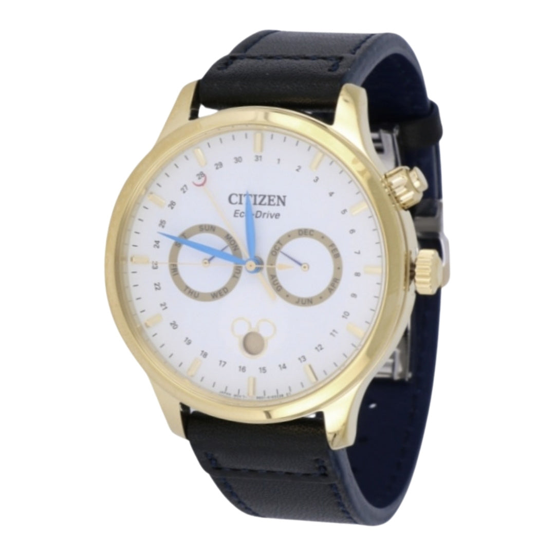 CITIZEN Men's Watch (Eco Drive 50m)