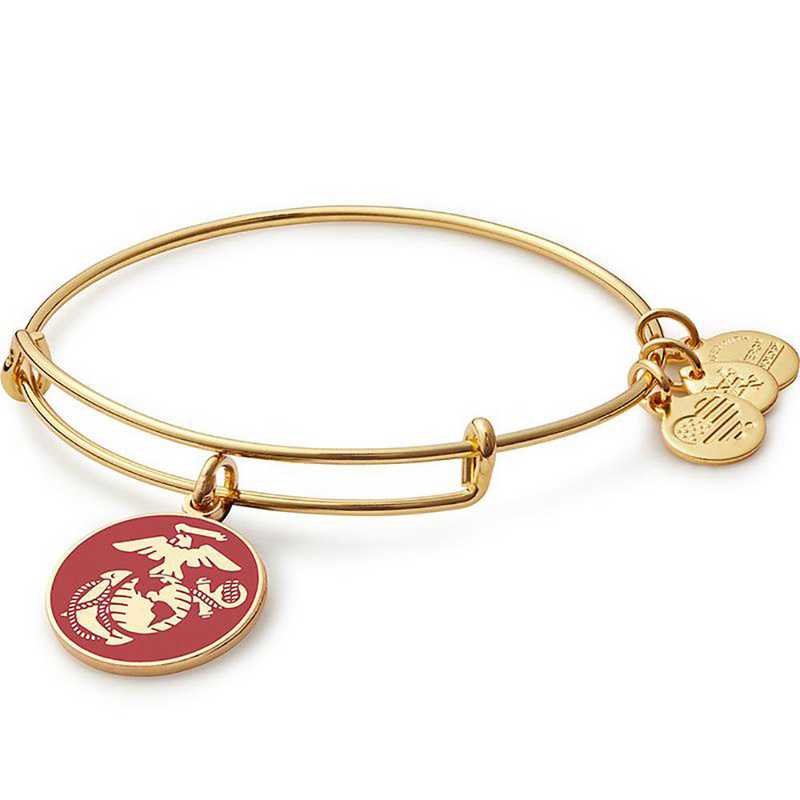 Buy ALEX AND ANI U.S. Marine Corps Charm Bangle at Kay's Fine Jewelry