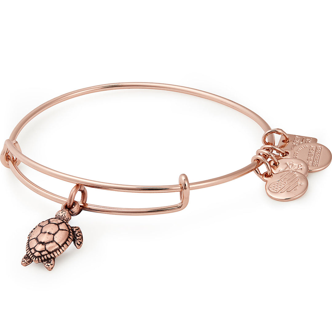 Buy ALEX AND ANI Sea Turtle Charm Bangle at Kay's Fine Jewelry