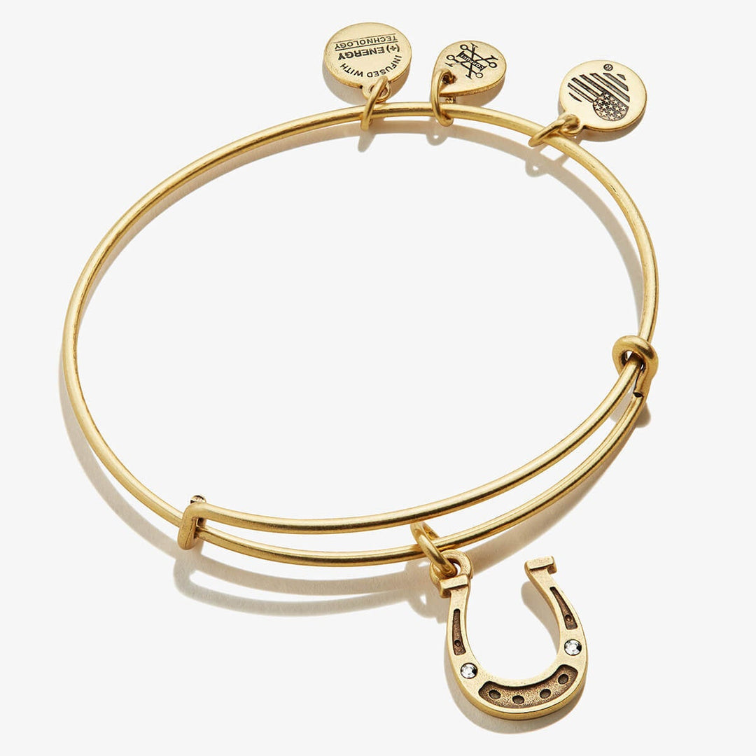 Buy ALEX AND ANI Horseshoe Charm Bangle at Kay's Fine Jewelry