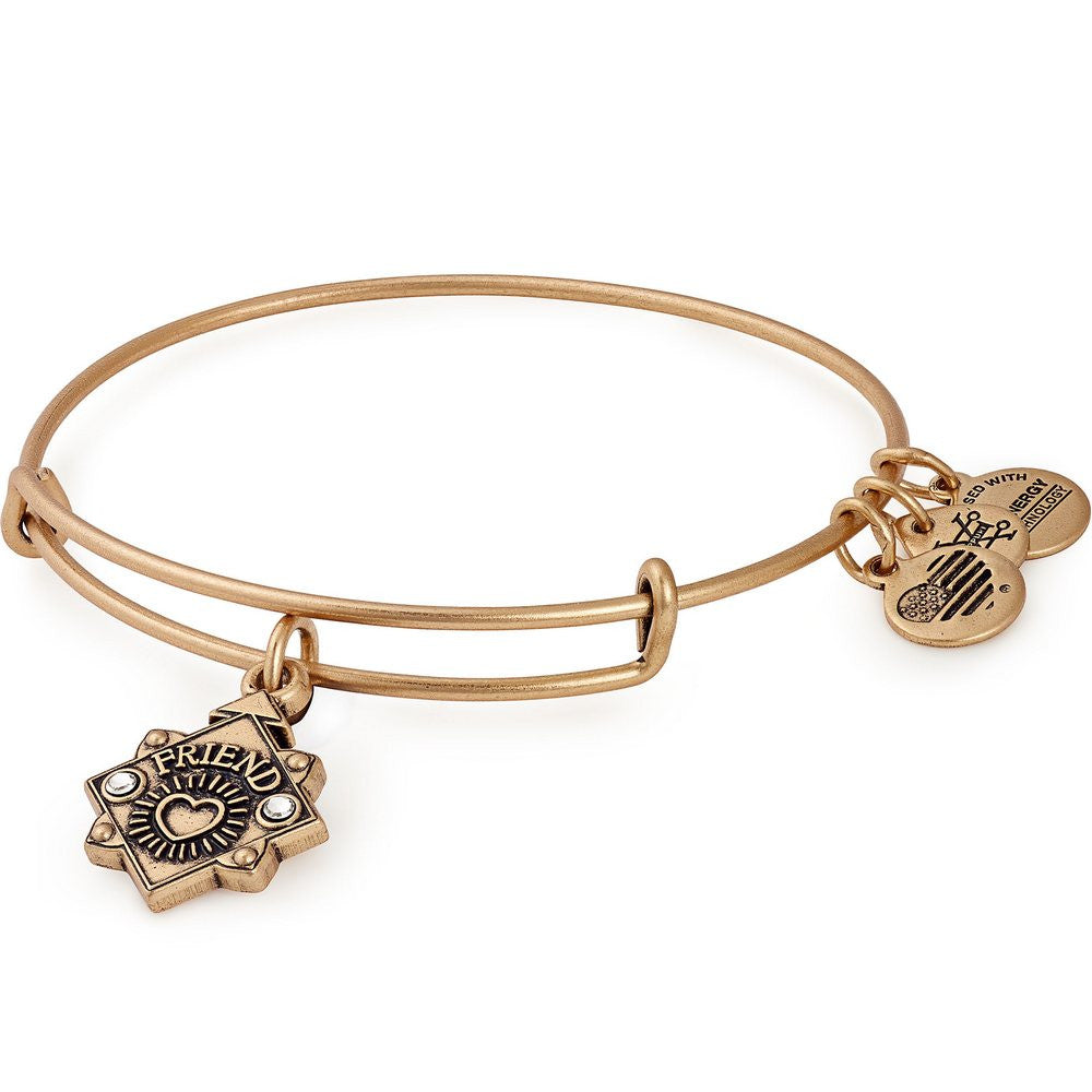 ALEX AND ANI Friend Charm Bangle – Kay's Fine Jewelry