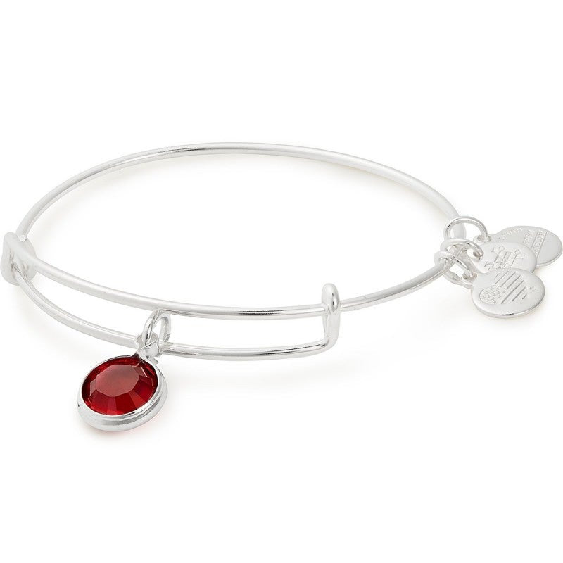 Buy ALEX AND ANI Scarlet Birthstone Charm Bangle, January at Kay's Fine Jewelry