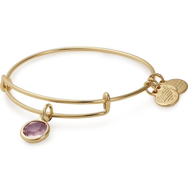 Buy ALEX AND ANI Light Amethyst Birthstone Charm Bangle, June at Kay's Fine Jewelry