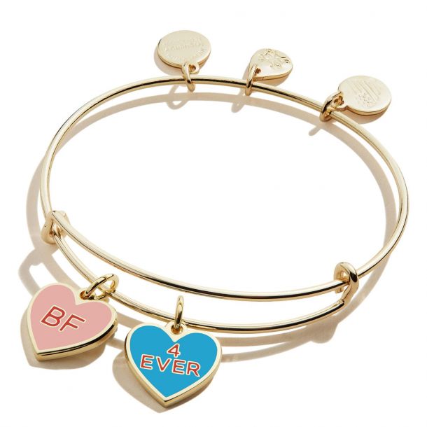ALEX AND ANI Color Infusion Best Friends Duo Charm Bangle – Kay's