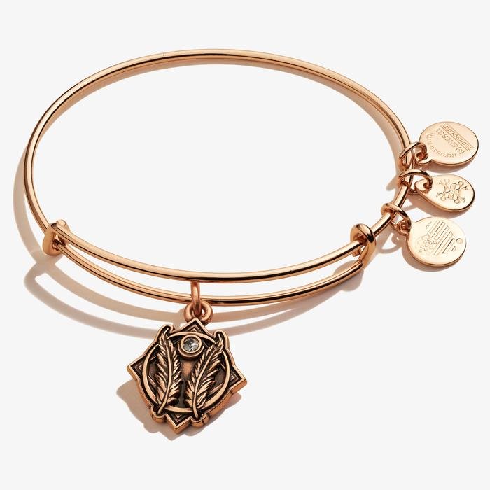 ALEX AND ANI Godspeed Charm Bangle Not Net