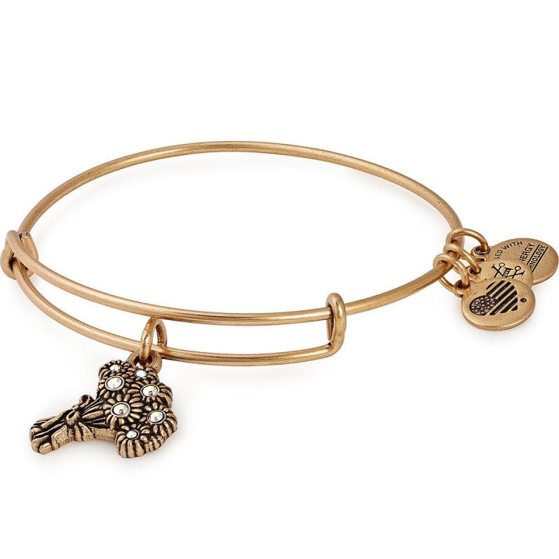 ALEX AND ANI I Pick You Charm Bangle – Kay's Fine Jewelry