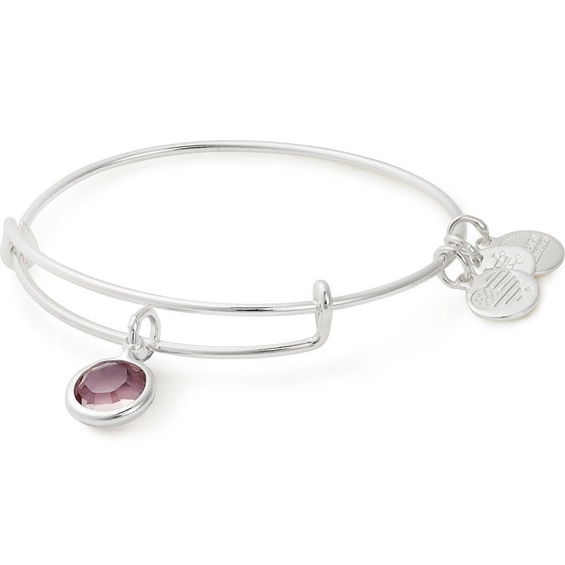 ALEX AND ANI Light Amethyst Birthstone Charm Bangle, June Not Net