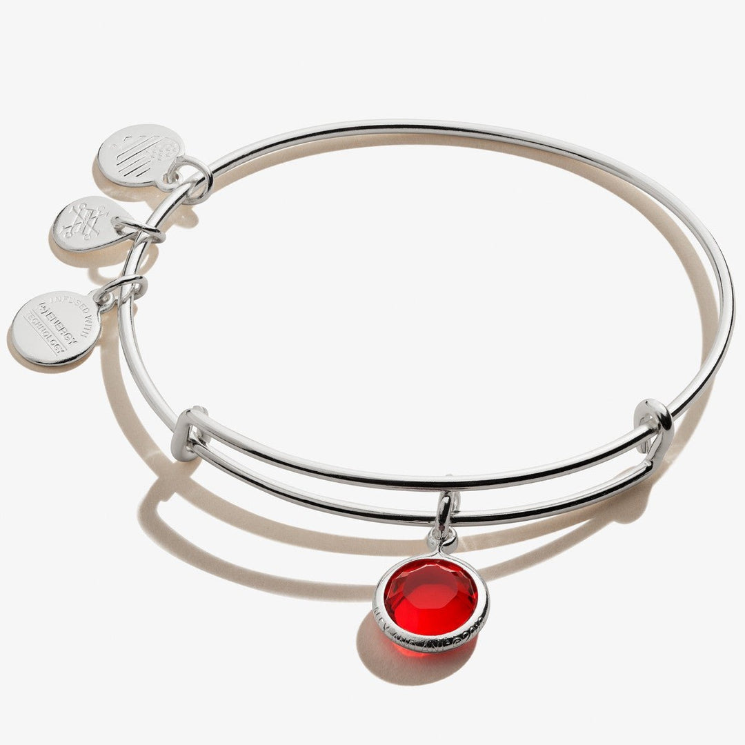 ALEX AND ANI Light Siam Birthstone Charm Bangle, July Not Net