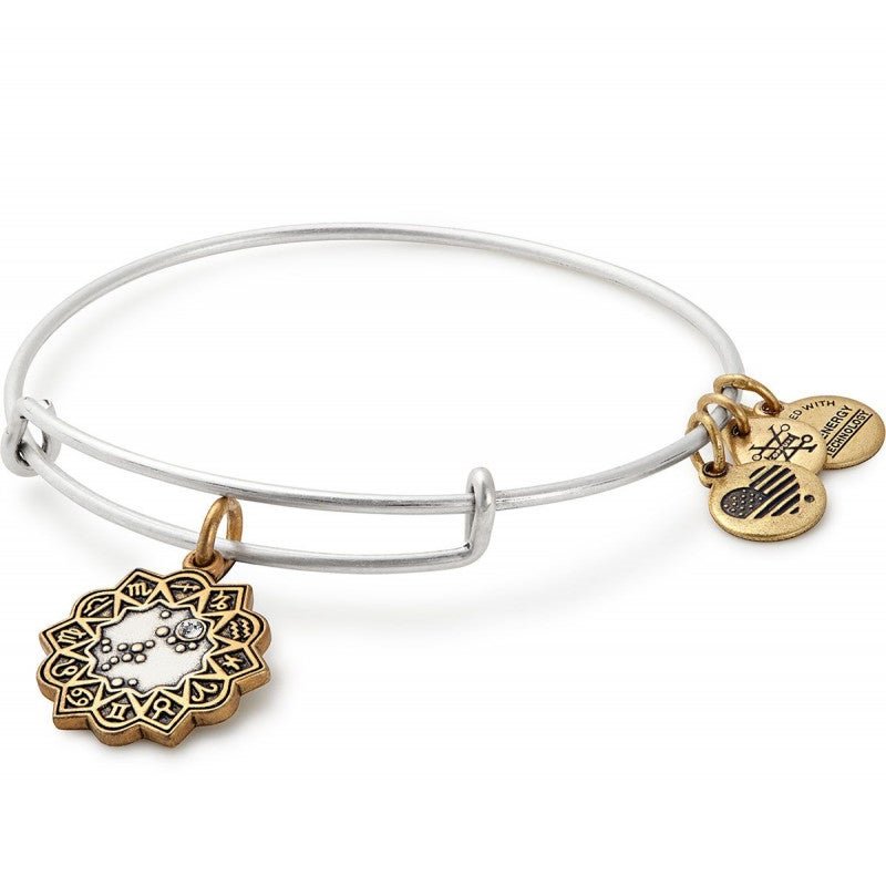 ALEX AND ANI Sagittarius Two Tone Charm Bangle Not Net