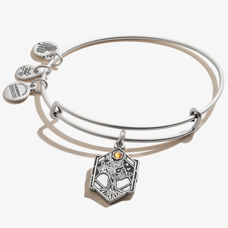 ALEX AND ANI Tree Of Life Charm Bangle Not Net
