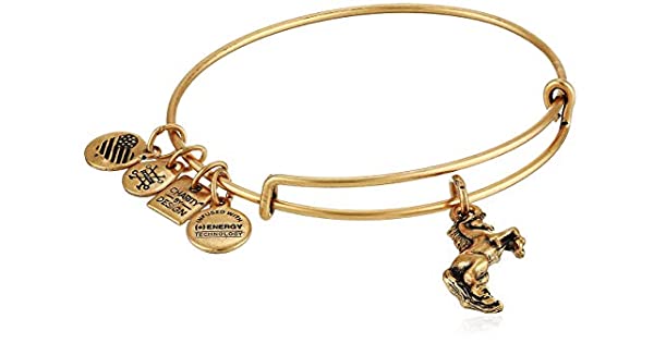 ALEX AND ANI Unicorn Charm Bangle Not Net