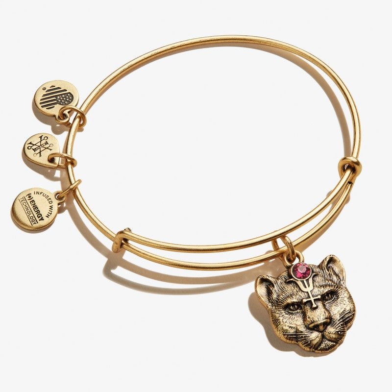 ALEX AND ANI Wild Heart Charm Bangle Not Net