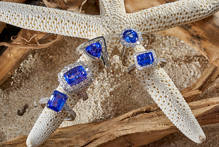 Tanzanite rings sitting on coral and driftwood