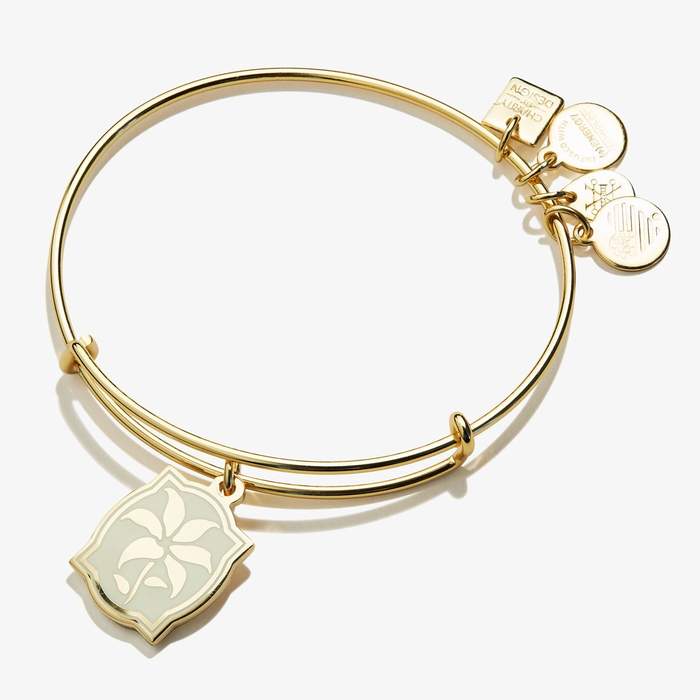 ALEX AND ANI Color Infusion Charm Bangle Bracelet - Shiny Gold Finish