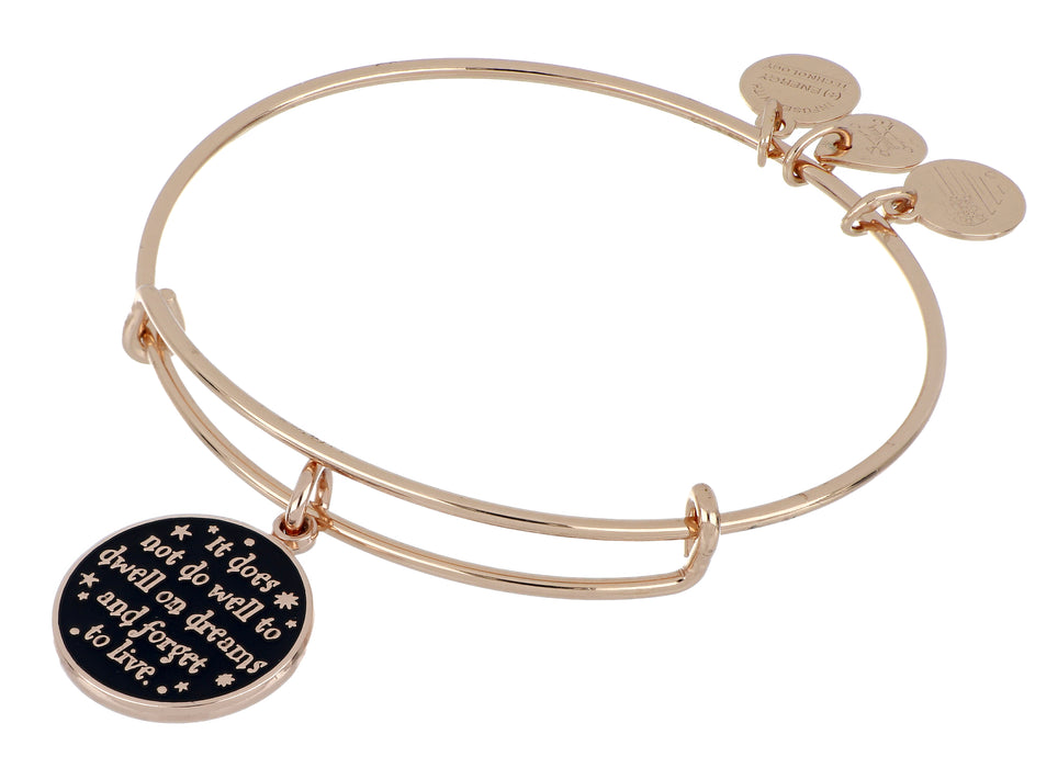 ALEX AND ANI Harry Potter It Does Not Do Well To Dwell Charm Bangle
