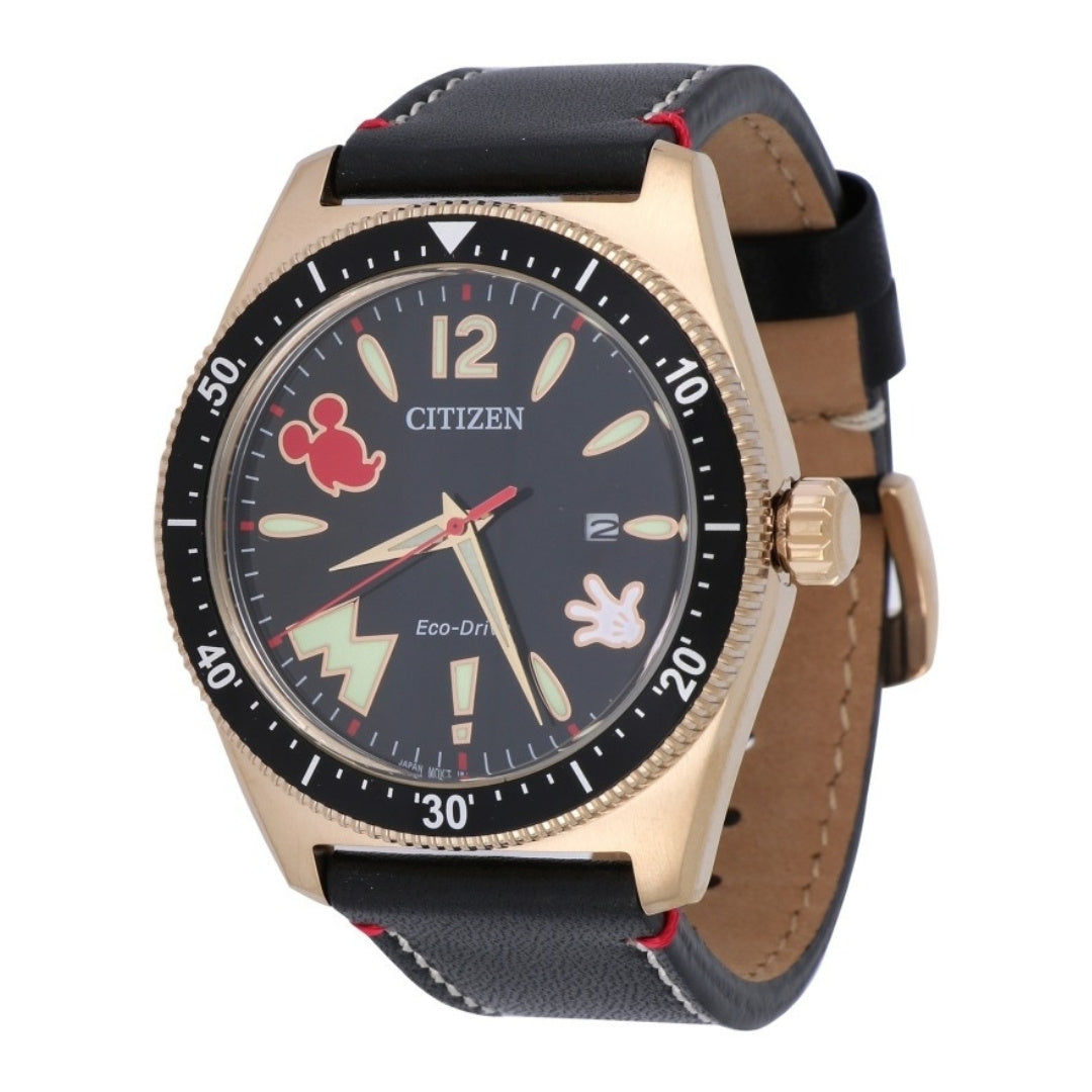 CITIZEN Men's Watch (Eco Drive 100m)
