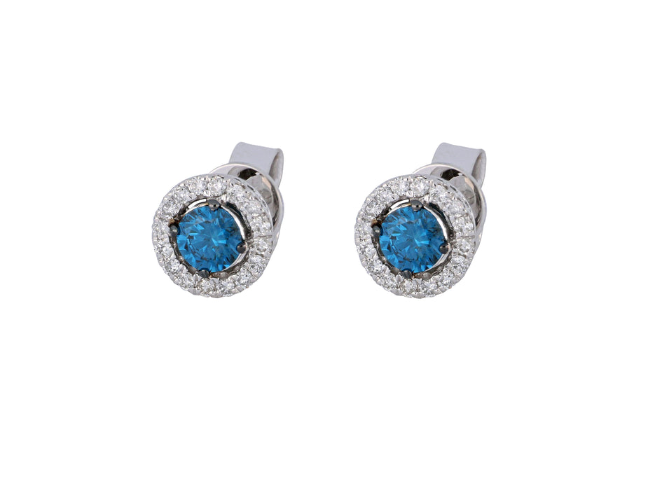 Blue Diamond Ladies Earrings (Blue Diamond 0.77 cts. White Diamond 0.31 cts.)