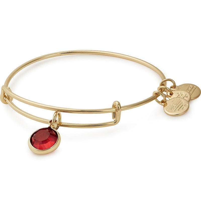 ALEX AND ANI Scarlet Birthstone Charm Bangle, January – Kay's Fine