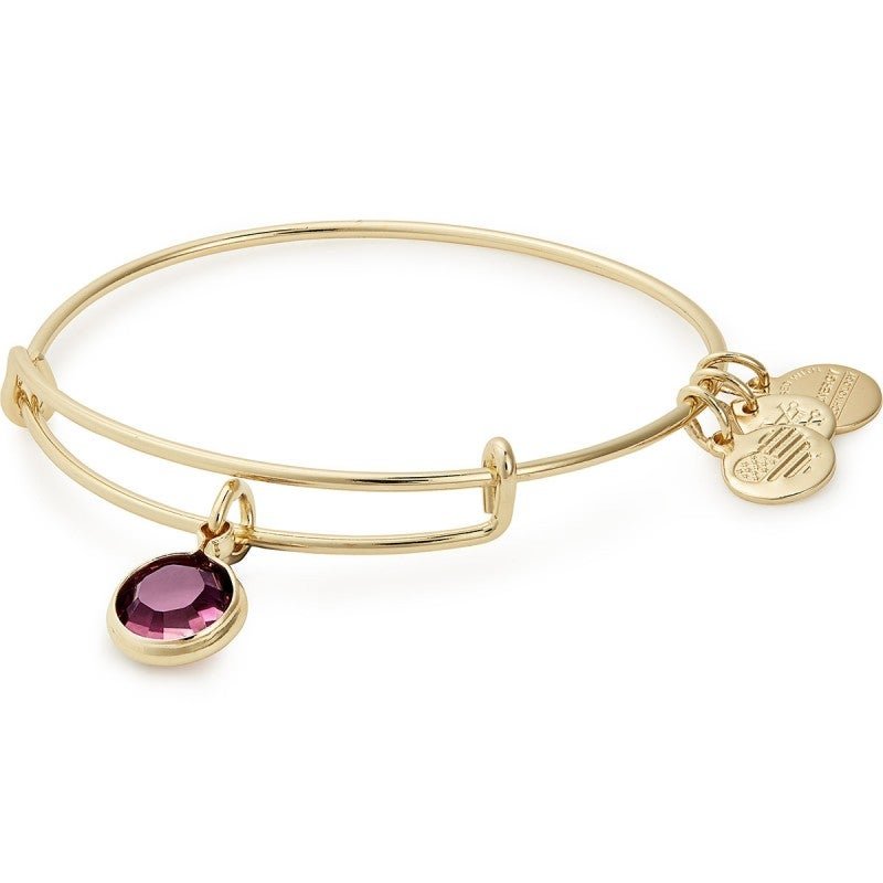 ALEX AND ANI Amethyst Birthstone Charm Bangle, February Not Net
