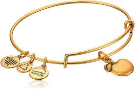 Buy ALEX AND ANI Apple Of Abundance Charm Bangle at Kay's Fine Jewelry