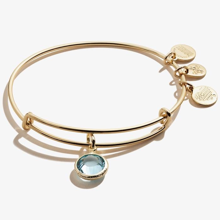 ALEX AND ANI Aquamarine Birthstone Charm Bangle, March Not Net