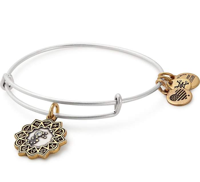 ALEX AND ANI Aquarius Two Tone Charm Bangle Not Net
