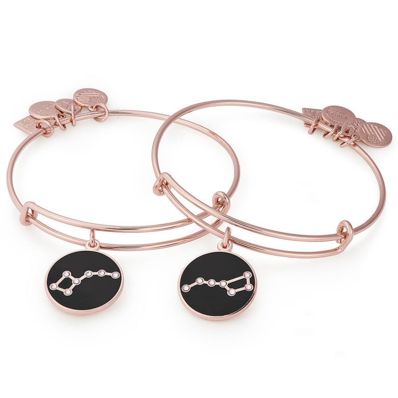 ALEX AND ANI Big and Little Dipper Charm Bangle Set of 2 Not Net