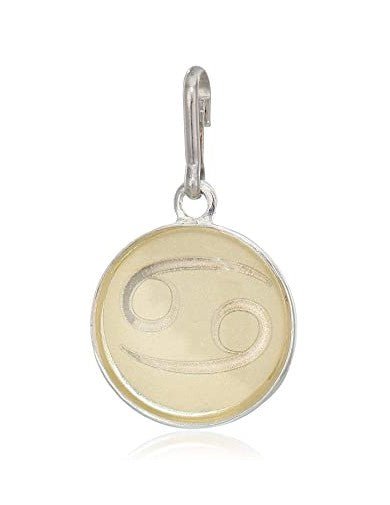 ALEX AND ANI Cancer Etching Charm Not Net