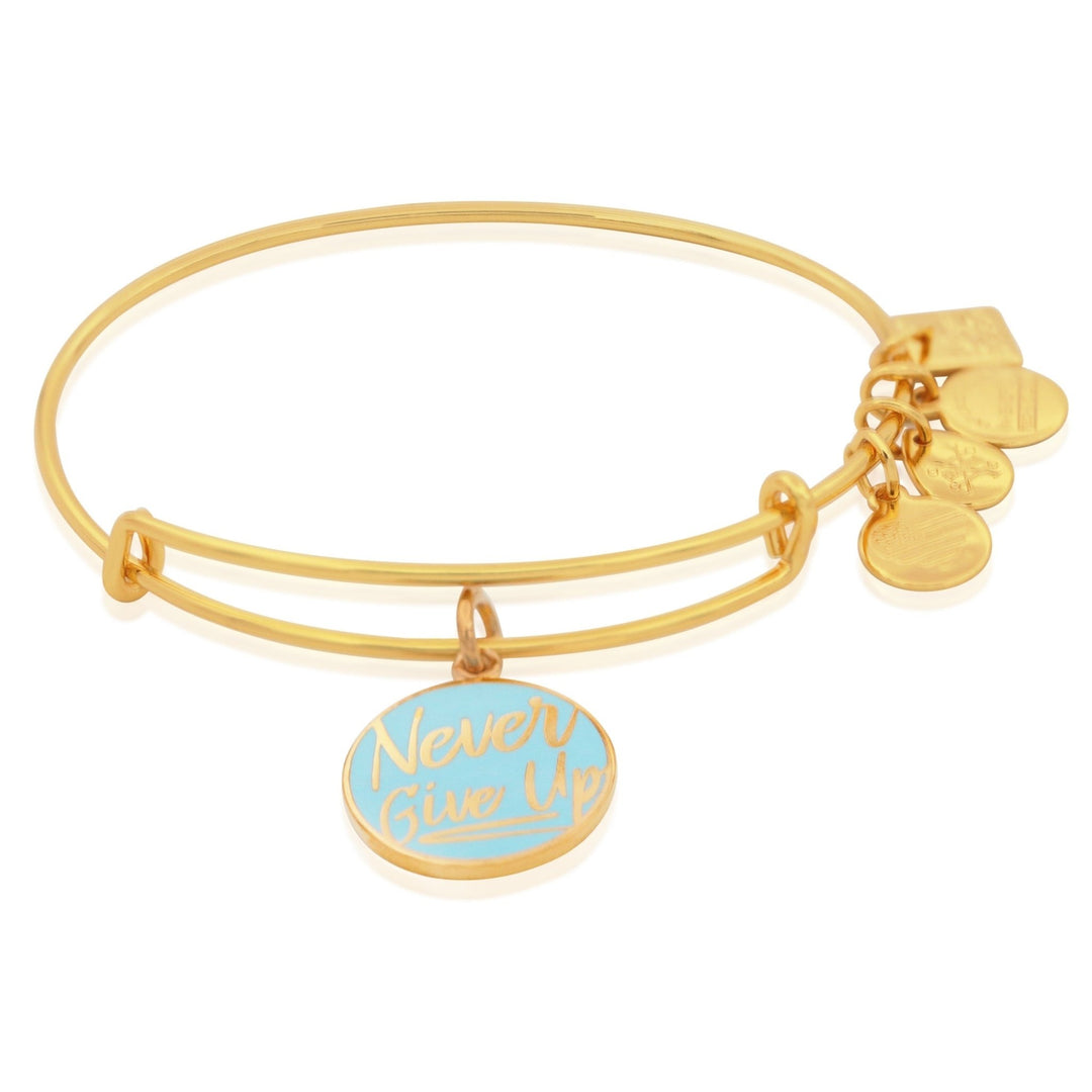 ALEX AND ANI Charity By Design, Never Give Up Bracelet Not Net