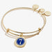 ALEX AND ANI Color Infusion Numerology Seven Charm Bangle Not Net
