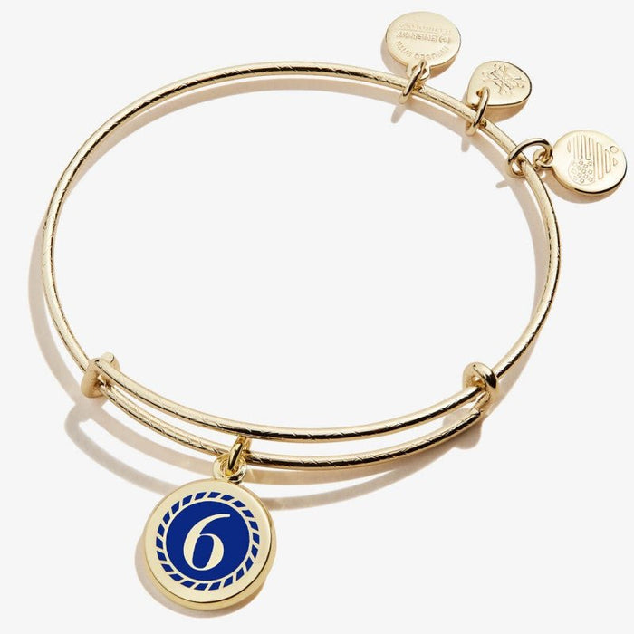 ALEX AND ANI Color Infusion Numerology Six Charm Bangle Not Net