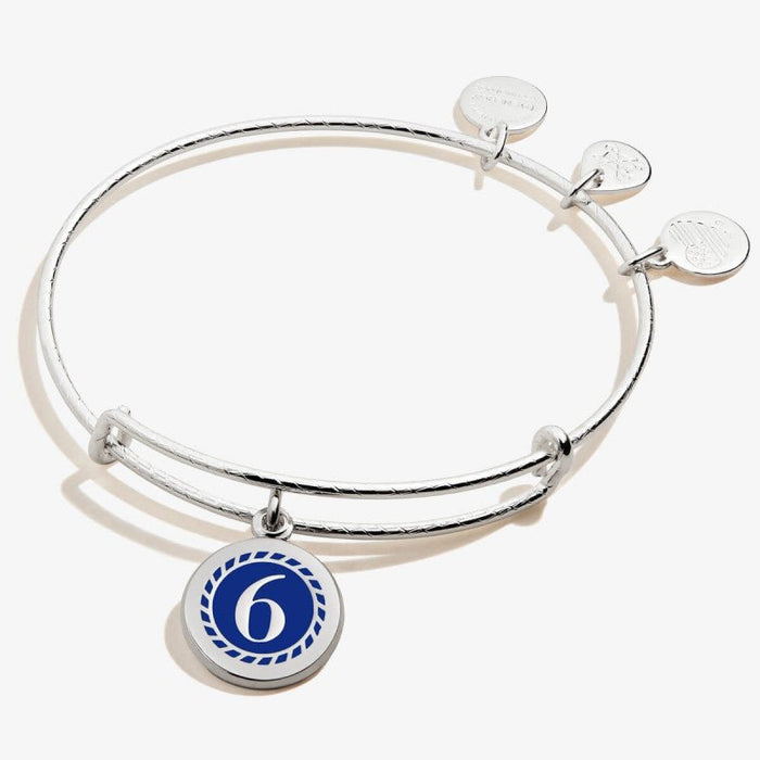 ALEX AND ANI Color Infusion Numerology Six Charm Bangle Not Net