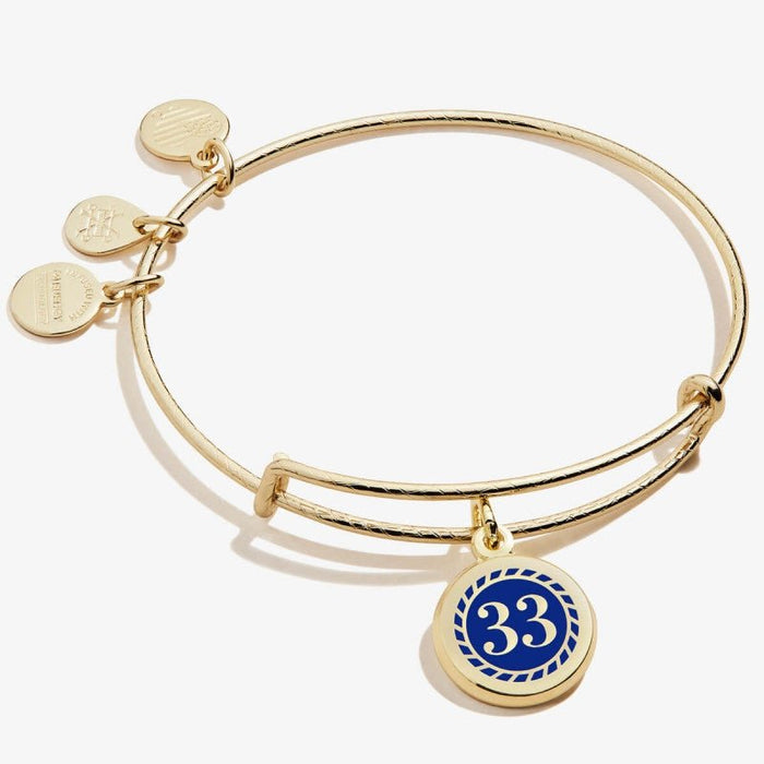 ALEX AND ANI Color Infusion Numerology Thirty Three Charm Bangle Not Net