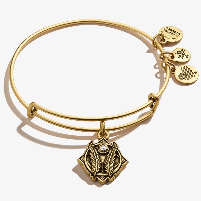 ALEX AND ANI Godspeed Charm Bangle Not Net