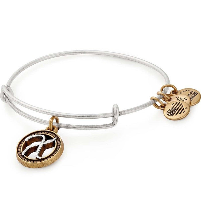 ALEX AND ANI Initial X Two Tone Charm Bangle Not Net
