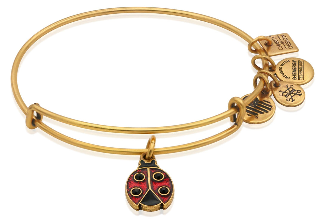 Buy ALEX AND ANI Ladybug Charm Bangle at Kay's Fine Jewelry