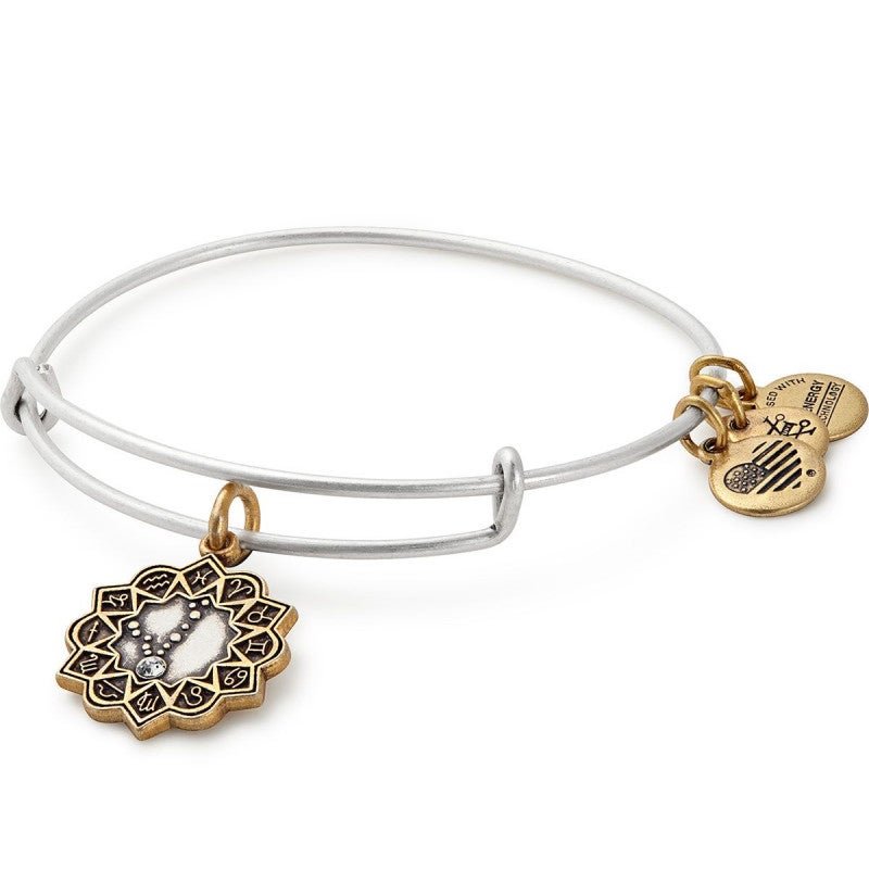 ALEX AND ANI Pisces Two Tone Charm Bangle Not Net