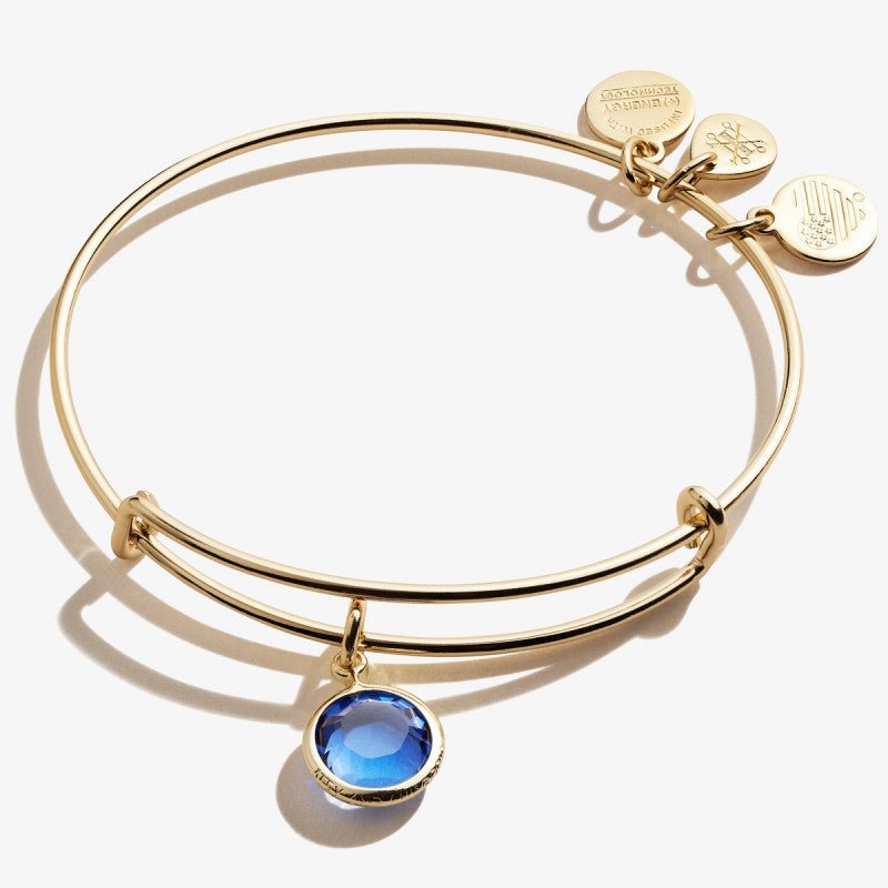 ALEX AND ANI Sapphire Birthstone Charm Bangle, September Not Net