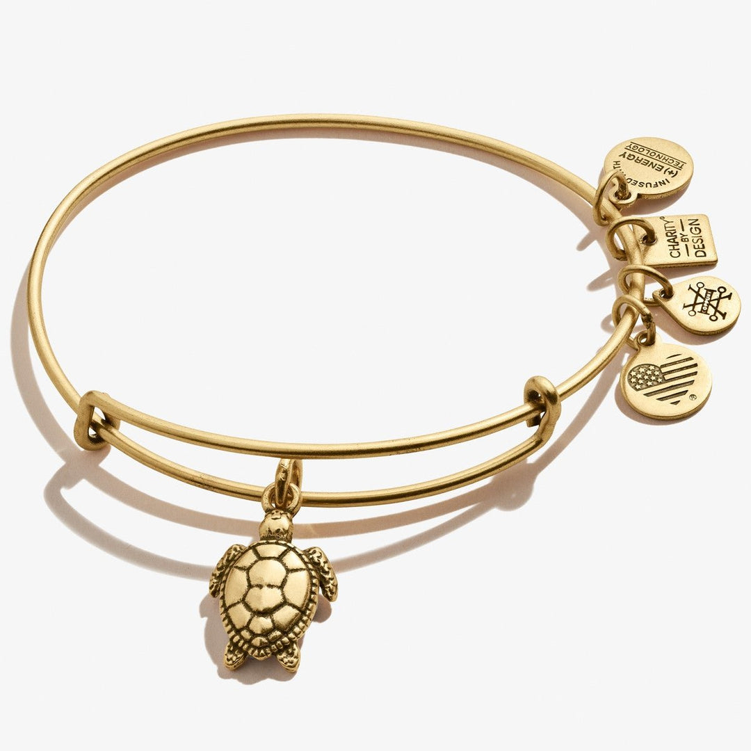 Buy ALEX AND ANI Sea Turtle Charm Bangle at Kay's Fine Jewelry