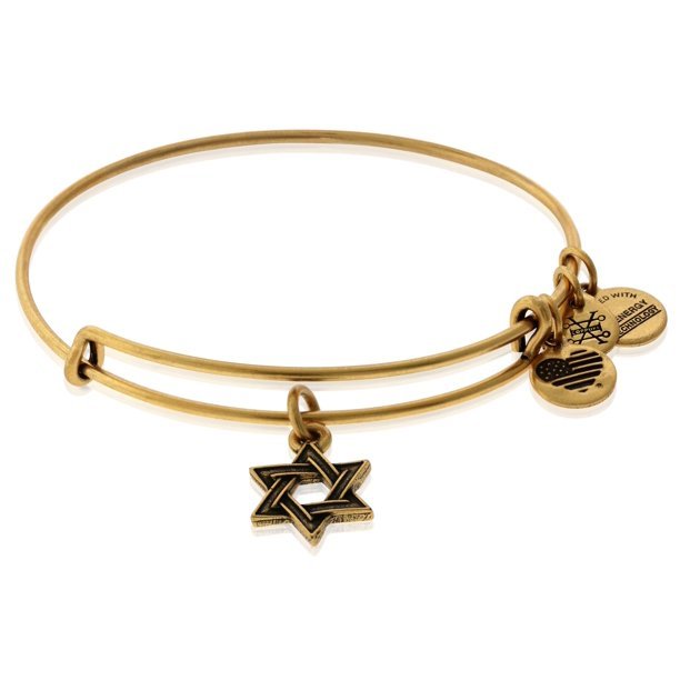 ALEX AND ANI Star of David Charm Bangle Not Net