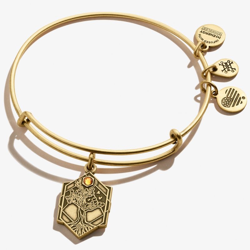 ALEX AND ANI Tree Of Life Charm Bangle Not Net