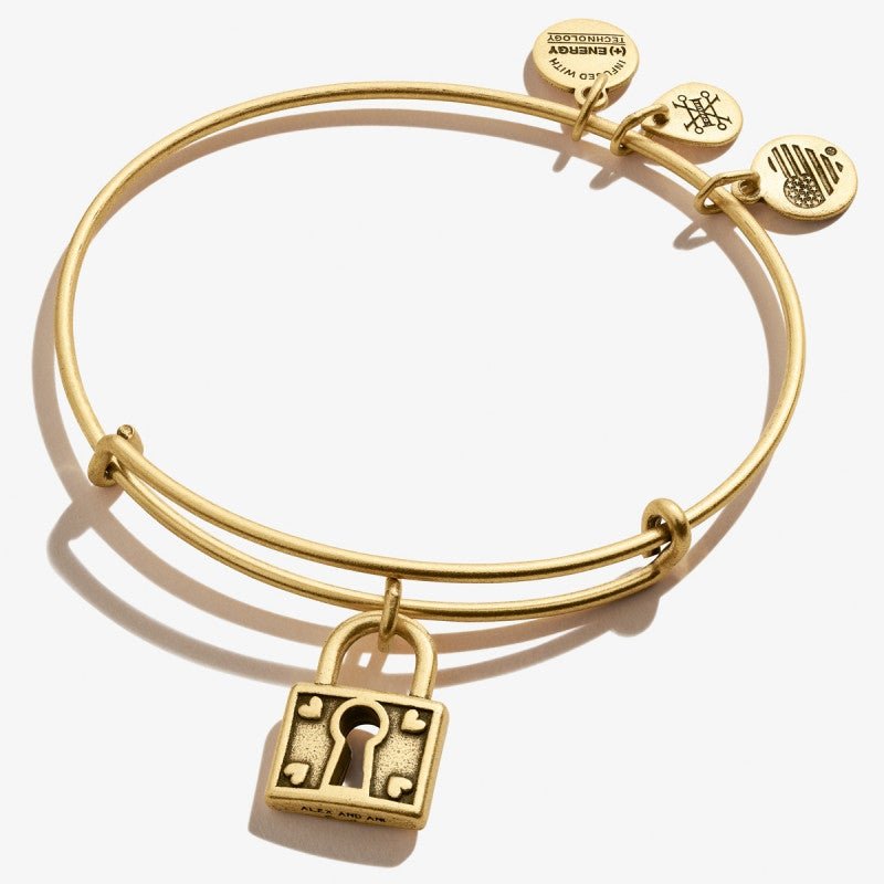 ALEX AND ANI Unbreakable Love Charm Bangle Not Net