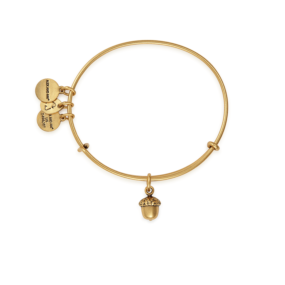 ALEX AND ANI Unexpected Blessings Charm Bangle Not Net