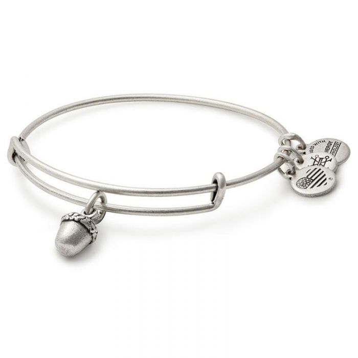 ALEX AND ANI Unexpected Blessings Charm Bangle Not Net