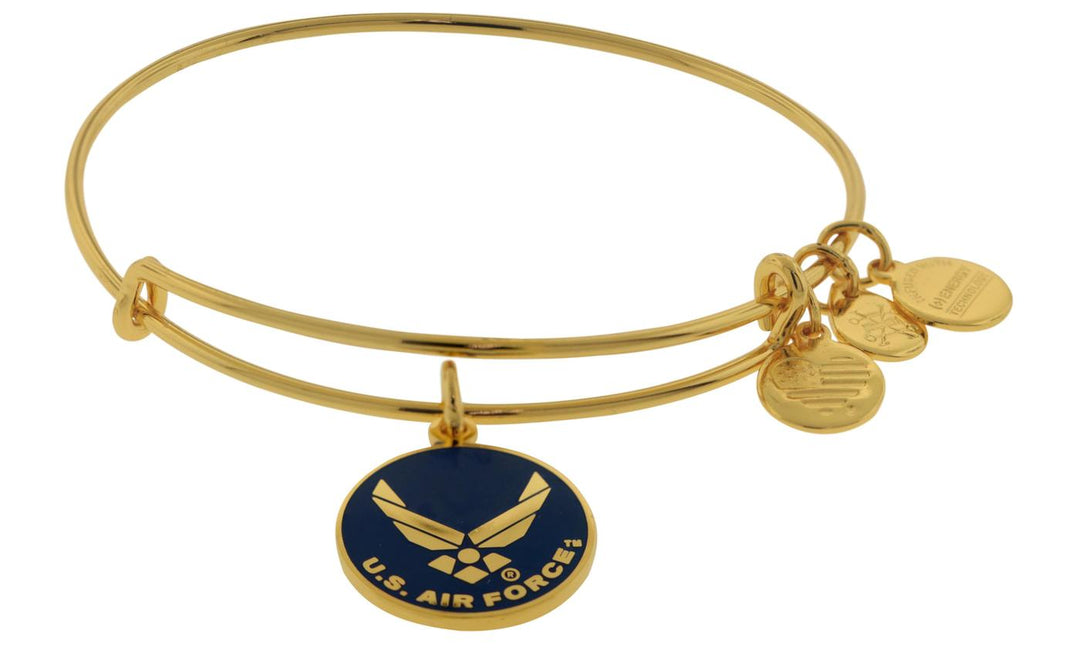 Buy ALEX AND ANI U.S. Air Force Charm Bangle at Kay's Fine Jewelry