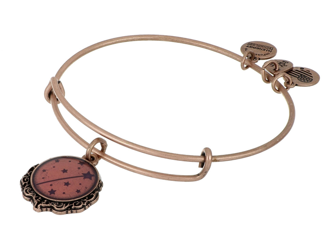 ALEX AND ANI Wizard of Oz Glinda's Wand Charm Bangle Not Net